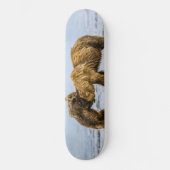 Kustbruine beren persoonlijk skateboard (Voorkant)