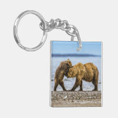 Kustbruine beren sleutelhanger (Voorkant Links)