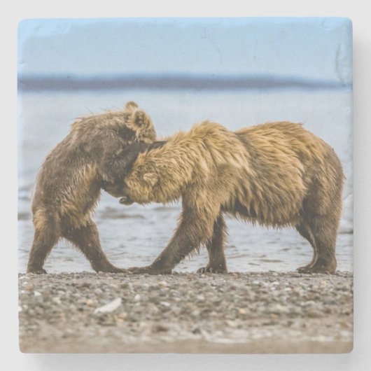 Kustbruine beren stenen onderzetter (Voorkant)