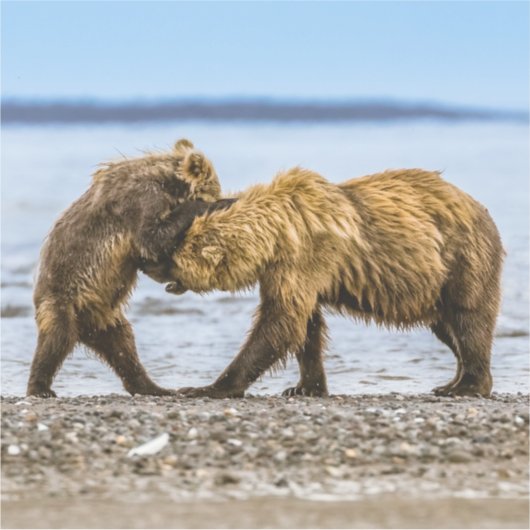 Kustbruine beren sticker (Voorkant)