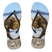 Kustbruine beren teenslippers (Voetbed)