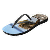 Kustbruine beren teenslippers (Schuin)