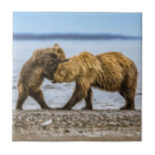 Kustbruine beren tegeltje (Voorkant)