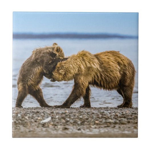 Kustbruine beren tegeltje (Voorkant)