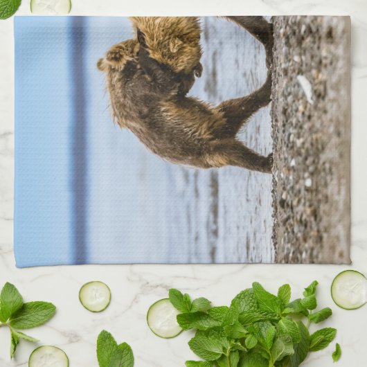 Kustbruine beren theedoek (Gevouwen)