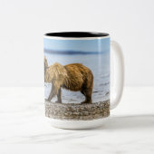 Kustbruine beren tweekleurige koffiemok (Voorkant rechts)