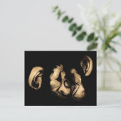 kustchimps briefkaart (Staand voorkant)