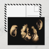 kustchimps briefkaart (Voorkant / Achterkant)
