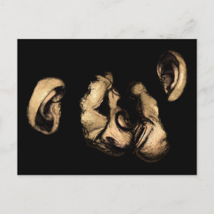kustchimps briefkaart