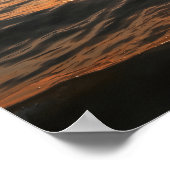 Kustdolfijnposter Poster (Hoek)