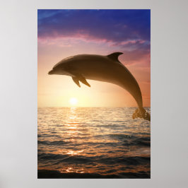 Kustdolfijnposter Poster