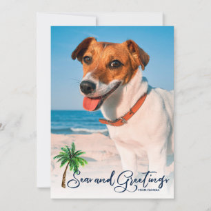 KustdoornZeeen en groeten Kerstmis 2-foto Feestdagenkaart