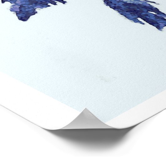 Kustdraak - Weedy Zee Dragon Poster (Hoek)