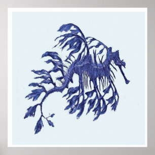 Kustdraak - Weedy Zee Dragon Poster