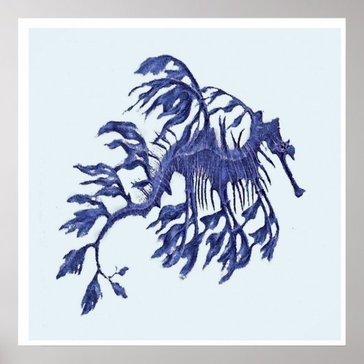 Kustdraak - Weedy Zee Dragon Poster (Voorkant)