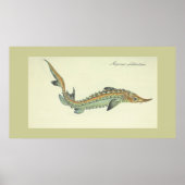 Kustdruk -  visdruk poster (Voorkant)