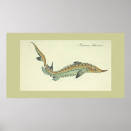 Kustdruk -  visdruk poster