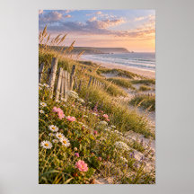 Kustduinen Wilde Bloemen Zonsondergang Strand Muur