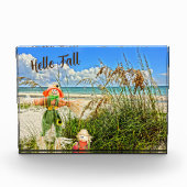 Kusteiland Sanibel Florida Strand & vogelverschrik Fotoblokken (Voorkant)