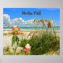 Kusteiland Sanibel Florida Strand & vogelverschrik