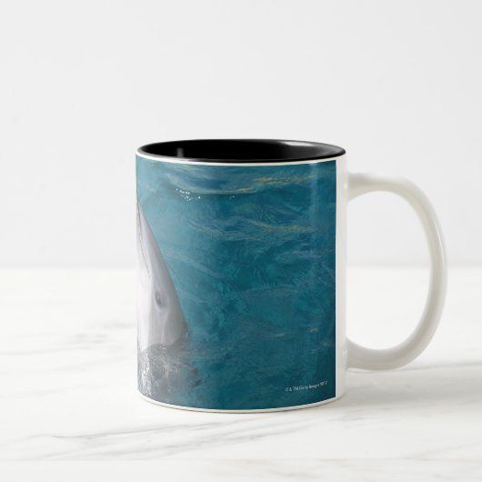 Kustflessendolfijn Tweekleurige Koffiemok (Rechts)