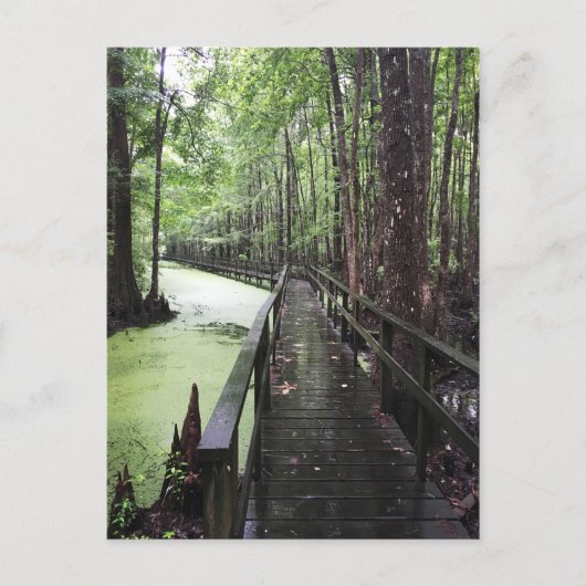 kustgebied briefkaart (Voorkant)