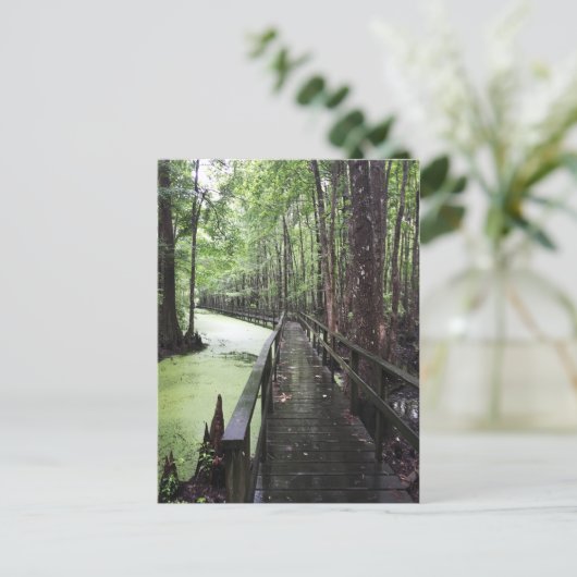 kustgebied briefkaart (Staand voorkant)