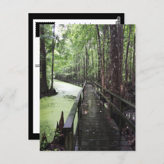 kustgebied briefkaart