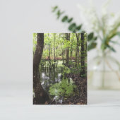 kustgebied briefkaart (Staand voorkant)