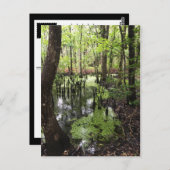 kustgebied briefkaart (Voorkant / Achterkant)