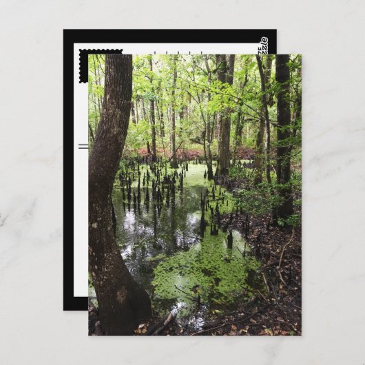 kustgebied briefkaart (Voorkant / Achterkant)