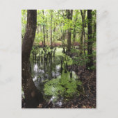 kustgebied briefkaart (Voorkant)