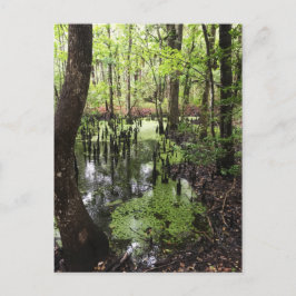 kustgebied briefkaart