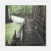 kustgebied magneet (Voorkant)