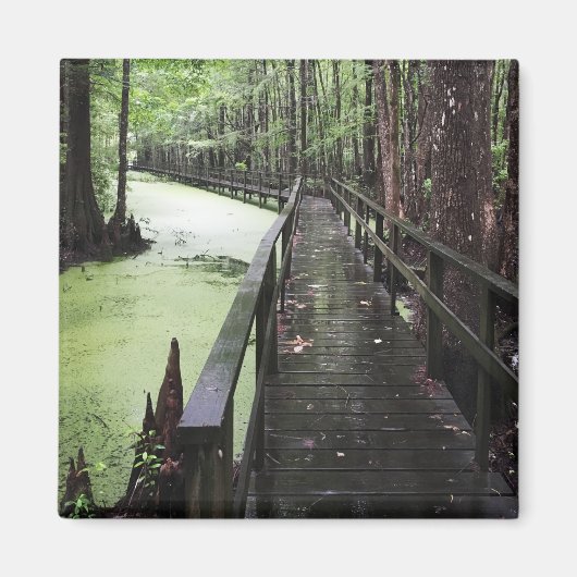 kustgebied magneet (Voorkant)