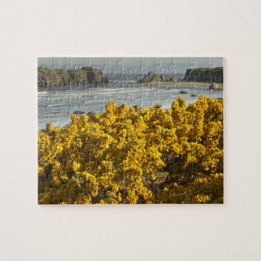 Kustgezichten, Bandon, Oregon Legpuzzel (Horizontaal)