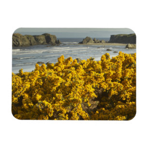 Kustgezichten, Bandon, Oregon Magneet
