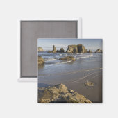 Kustgezichten, Bandon, Oregon Magneet (Voorkant / Achterkant)