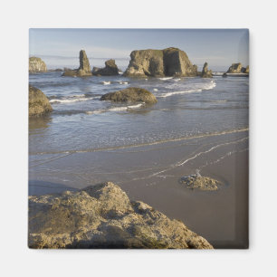 Kustgezichten, Bandon, Oregon Magneet