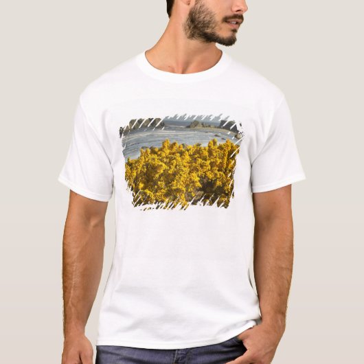 Kustgezichten, Bandon, Oregon T-shirt (Voorkant)
