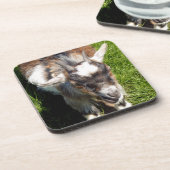 KUSTGOAT BIER ONDERZETTER (Linkerzijde)