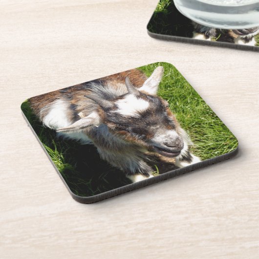 KUSTGOAT BIER ONDERZETTER (Linkerzijde)