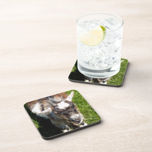 KUSTGOAT BIER ONDERZETTER (Rechterzijde)