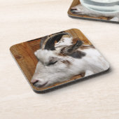 KUSTGOAT BIER ONDERZETTER (Linkerzijde)