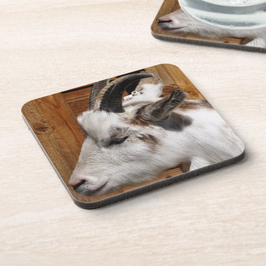 KUSTGOAT BIER ONDERZETTER (Linkerzijde)