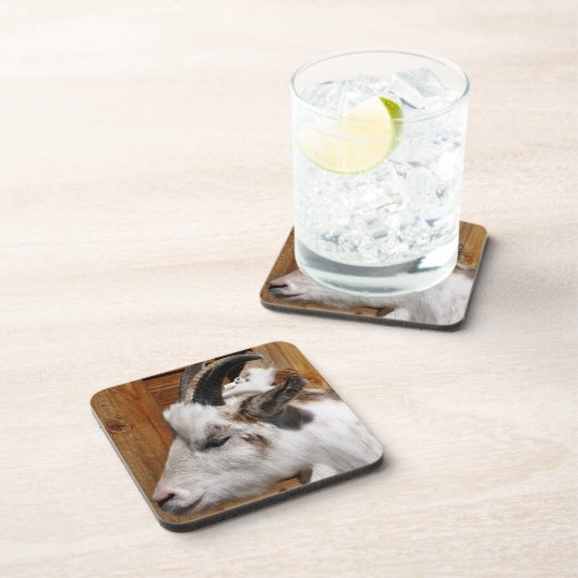 KUSTGOAT BIER ONDERZETTER (Rechterzijde)