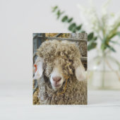 KUSTGOAT BRIEFKAART (Staand voorkant)