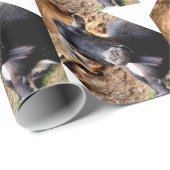 KUSTGOAT CADEAUPAPIER (Rol Hoek)