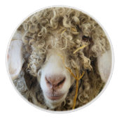 KUSTGOAT KERAMISCHE KNOP (Voorkant)