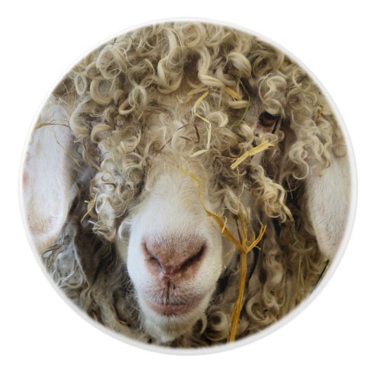 KUSTGOAT KERAMISCHE KNOP (Voorkant)